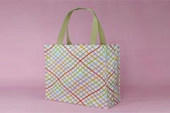 Colored Stripe Printing Lattice Fabric Bag